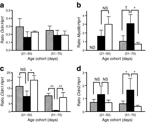 https://cdn.ncbi.nlm.nih.gov/pmc/blobs/ec26/2974912/982d6c19ab86/125_2010_1903_Fig3_HTML.jpg