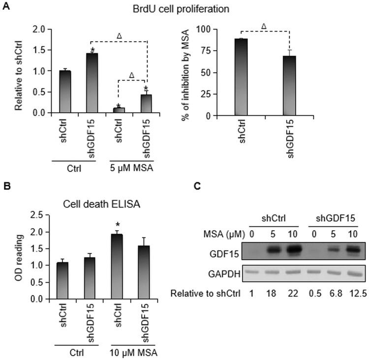 https://cdn.ncbi.nlm.nih.gov/pmc/blobs/ec26/6754141/20f36e947c65/pone.0222812.g002.jpg