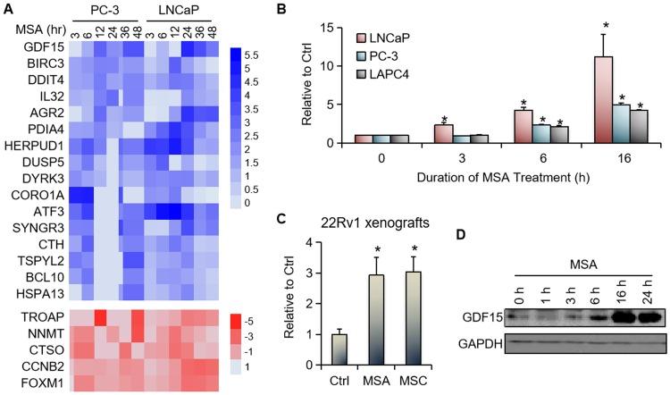 https://cdn.ncbi.nlm.nih.gov/pmc/blobs/ec26/6754141/668bfdaac064/pone.0222812.g001.jpg