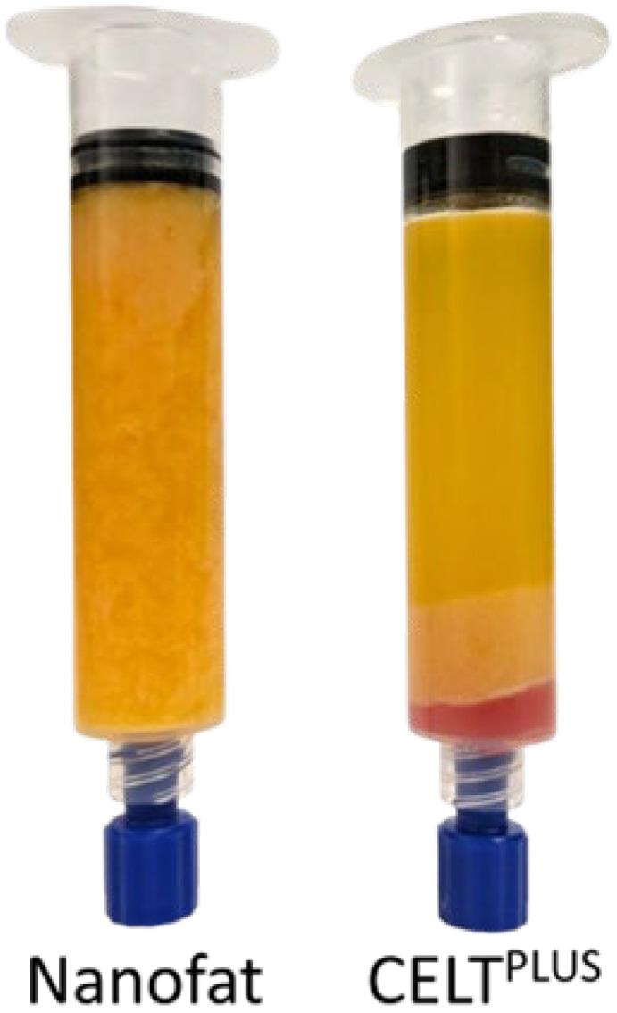 https://cdn.ncbi.nlm.nih.gov/pmc/blobs/ec27/12025502/0a00383e867d/cells-14-00601-g002.jpg