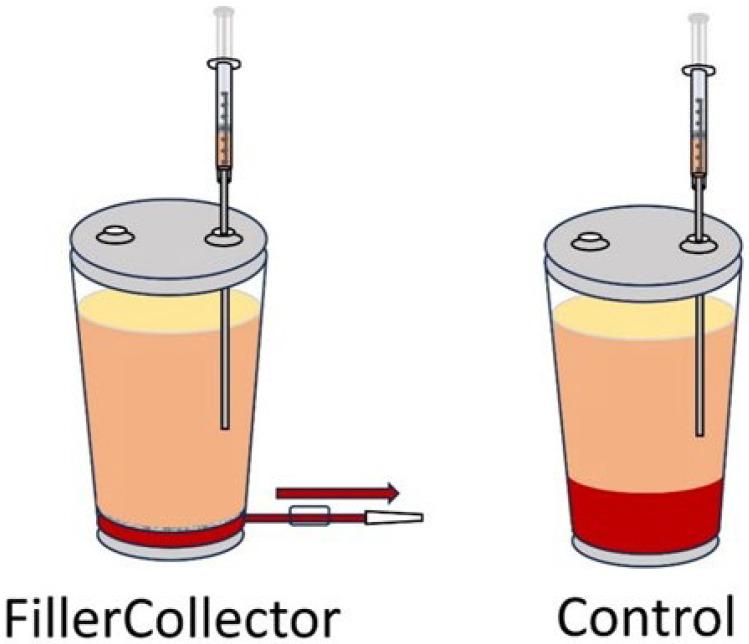 https://cdn.ncbi.nlm.nih.gov/pmc/blobs/ec27/12025502/1a1b0eab5511/cells-14-00601-g001.jpg