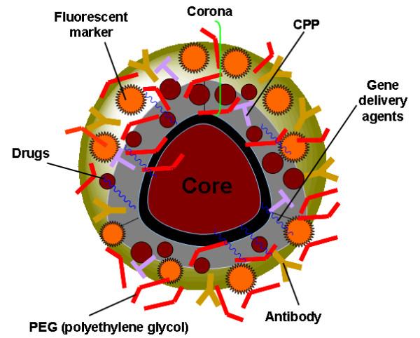 https://cdn.ncbi.nlm.nih.gov/pmc/blobs/ec2b/2847536/469e5847a55d/1743-8977-7-3-4.jpg