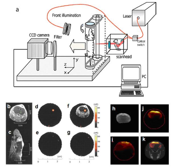 https://cdn.ncbi.nlm.nih.gov/pmc/blobs/ec2b/2847536/4d323319f72e/1743-8977-7-3-7.jpg