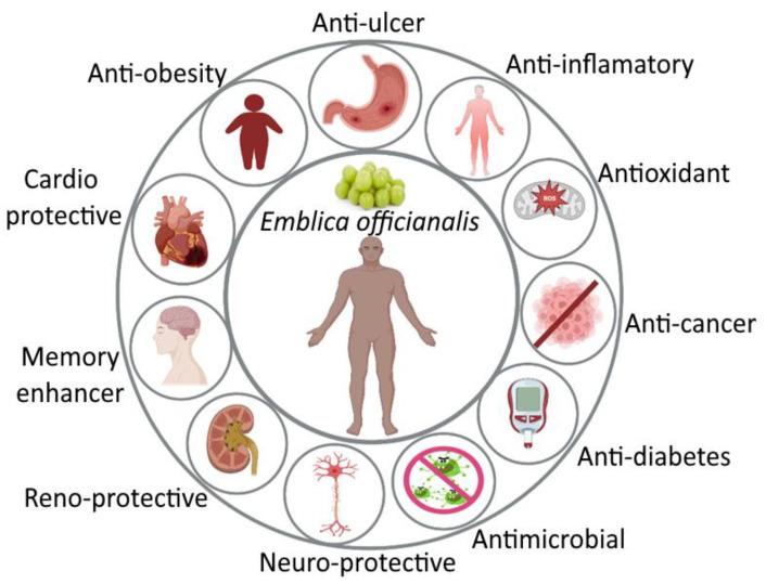 https://cdn.ncbi.nlm.nih.gov/pmc/blobs/ec2b/9854976/30eae39650f2/bioengineering-10-00064-g002.jpg