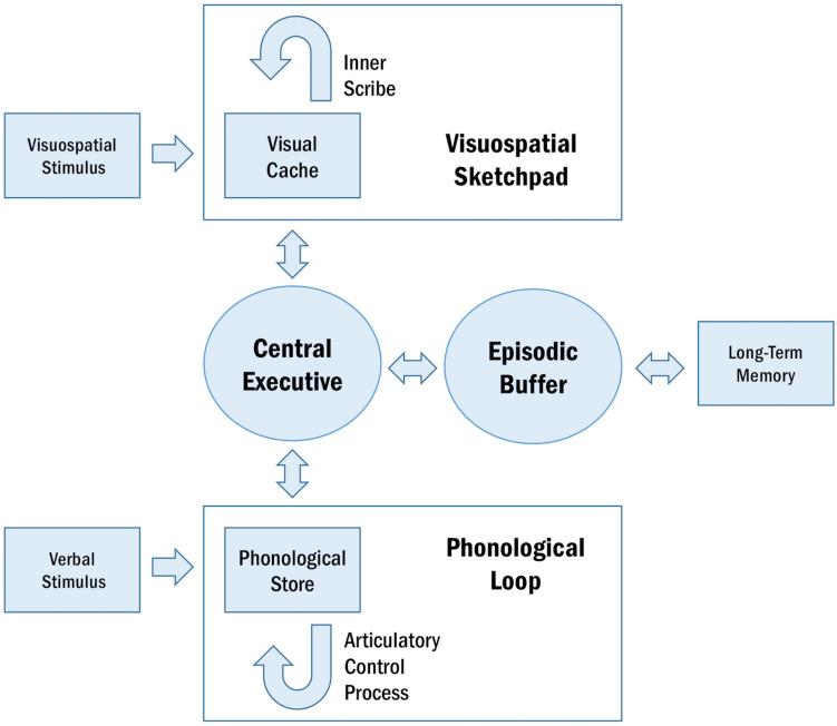 https://cdn.ncbi.nlm.nih.gov/pmc/blobs/ec2e/7874181/26b023009702/fnhum-14-612024-g001.jpg