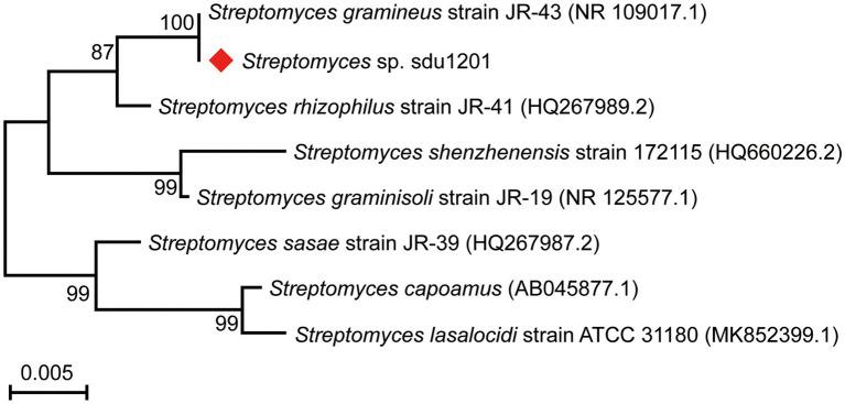 https://cdn.ncbi.nlm.nih.gov/pmc/blobs/ec2f/9674021/63a8bd9307f7/fmicb-13-1051730-g001.jpg