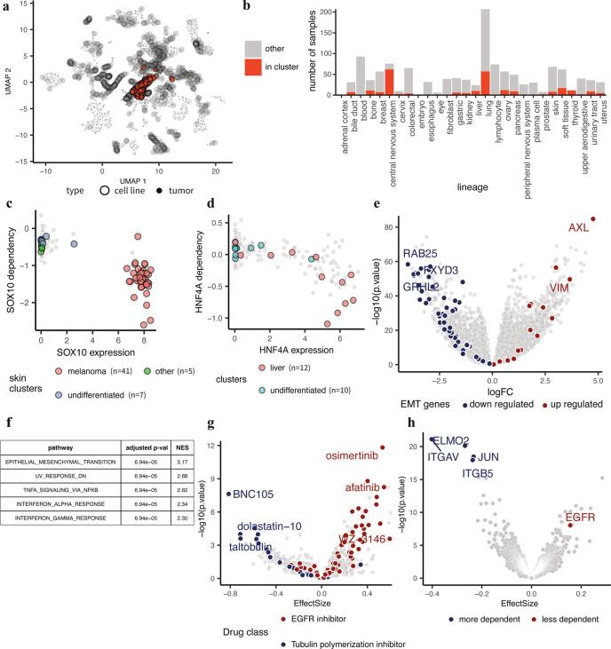 https://cdn.ncbi.nlm.nih.gov/pmc/blobs/ec30/7782593/4c870e3b54bd/41467_2020_20294_Fig5_HTML.jpg