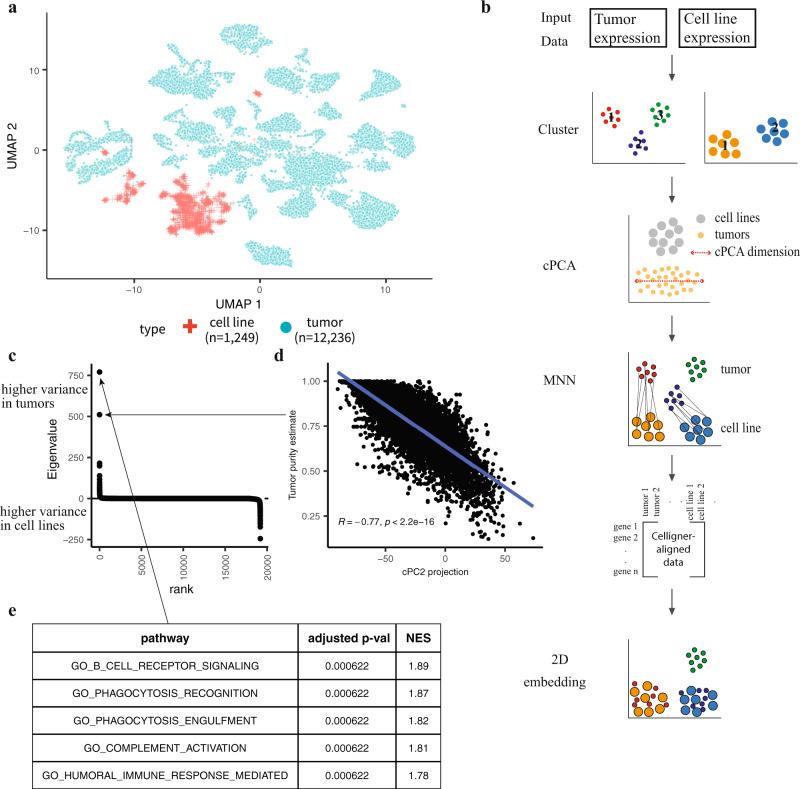 https://cdn.ncbi.nlm.nih.gov/pmc/blobs/ec30/7782593/96fb08c2e1fa/41467_2020_20294_Fig1_HTML.jpg