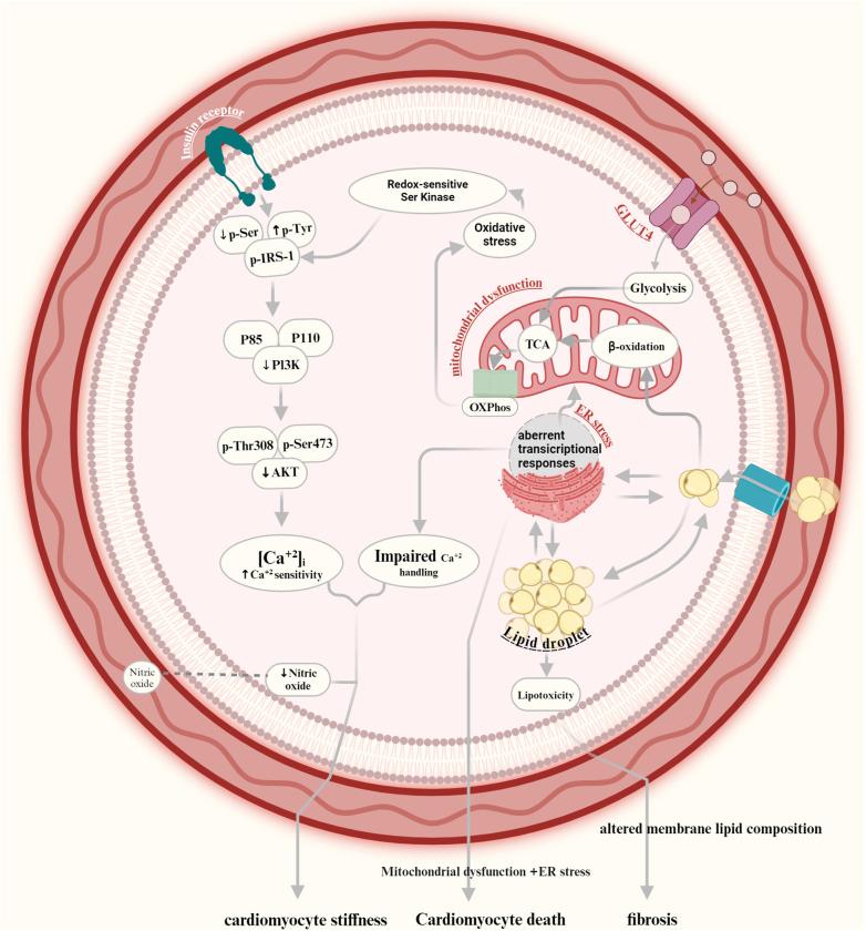 https://cdn.ncbi.nlm.nih.gov/pmc/blobs/ec31/11918745/2b4866602728/ms9-87-224-g002.jpg