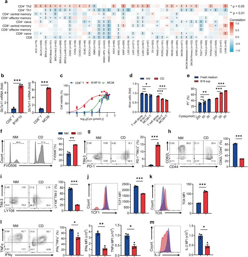 https://cdn.ncbi.nlm.nih.gov/pmc/blobs/ec33/10869360/4f4893dcf8b2/41419_2024_6503_Fig1_HTML.jpg