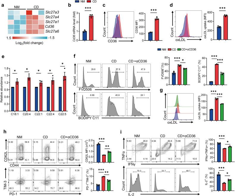 https://cdn.ncbi.nlm.nih.gov/pmc/blobs/ec33/10869360/97bb7bcb9a44/41419_2024_6503_Fig5_HTML.jpg