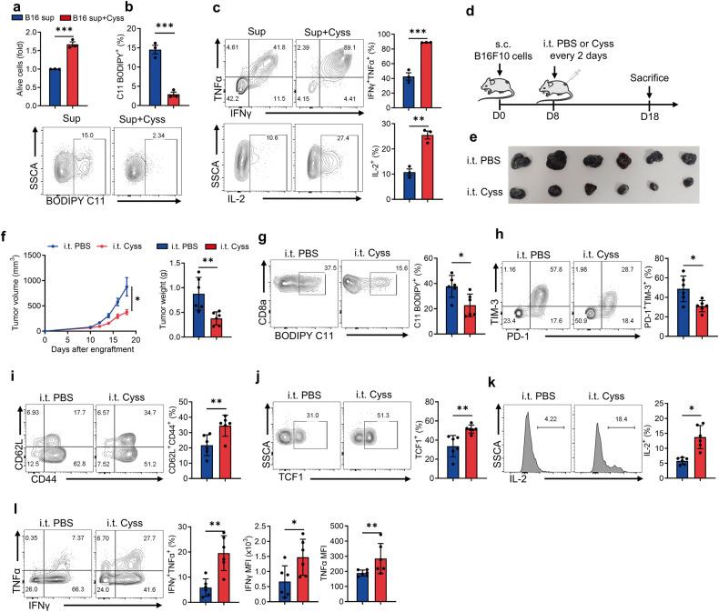 https://cdn.ncbi.nlm.nih.gov/pmc/blobs/ec33/10869360/b20c27e6d481/41419_2024_6503_Fig4_HTML.jpg