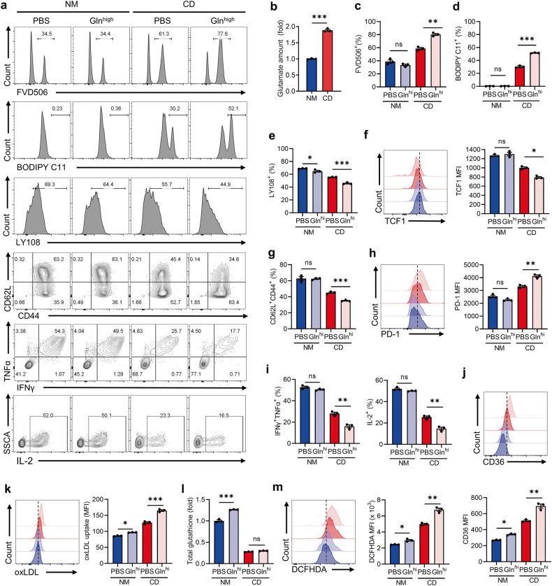 https://cdn.ncbi.nlm.nih.gov/pmc/blobs/ec33/10869360/b33ede83a62b/41419_2024_6503_Fig6_HTML.jpg
