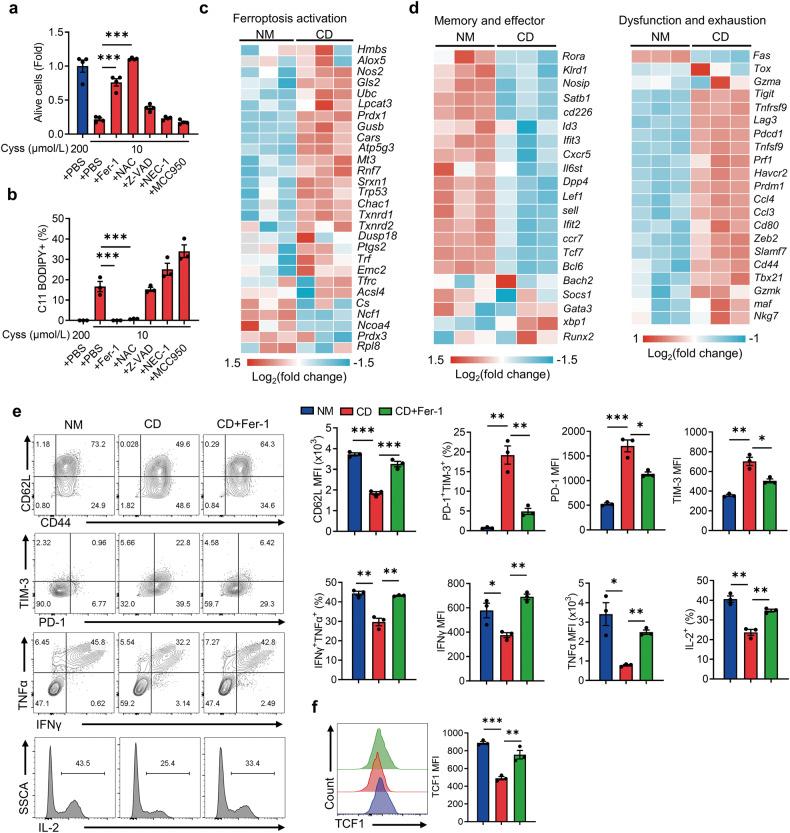 https://cdn.ncbi.nlm.nih.gov/pmc/blobs/ec33/10869360/caab4ecdd7e4/41419_2024_6503_Fig2_HTML.jpg