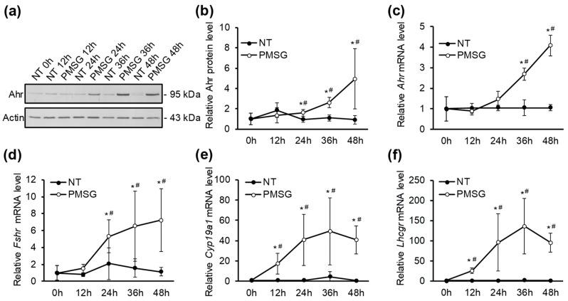 https://cdn.ncbi.nlm.nih.gov/pmc/blobs/ec34/6627912/2d5c97ef7779/ijms-20-03068-g002.jpg