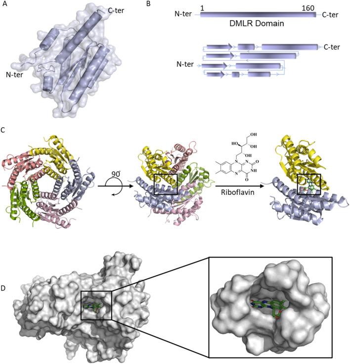 https://cdn.ncbi.nlm.nih.gov/pmc/blobs/ec38/11133327/b3e3afcd717b/41598_2024_63051_Fig2_HTML.jpg