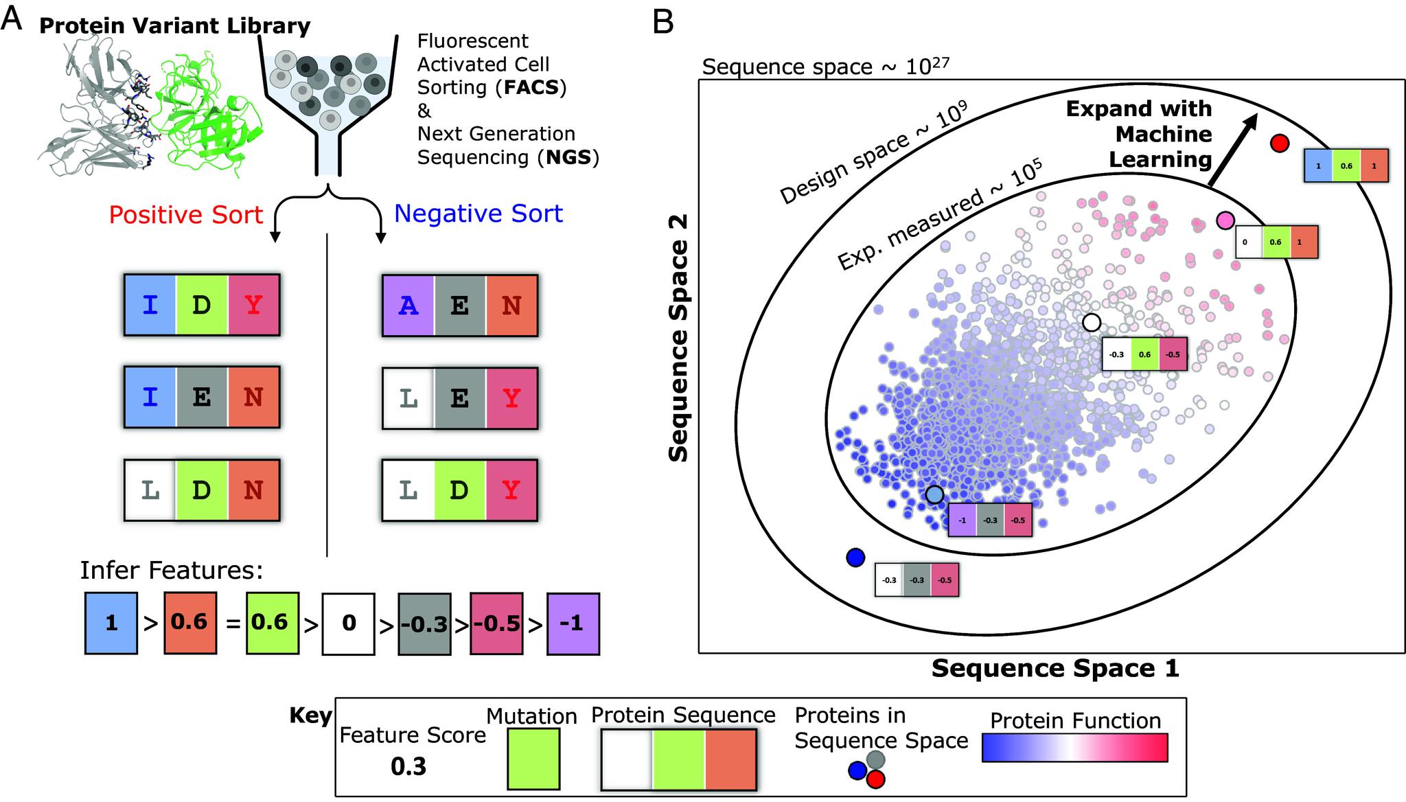 https://cdn.ncbi.nlm.nih.gov/pmc/blobs/ec3b/10945751/4b76aec1b2d1/pnas.2311726121fig01.jpg
