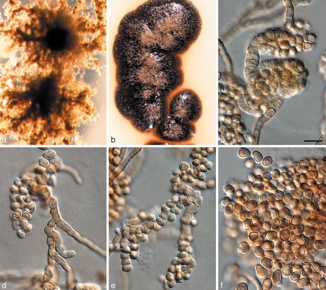 https://cdn.ncbi.nlm.nih.gov/pmc/blobs/ec3b/2802729/42c95133cd54/per-23-119-g007.jpg