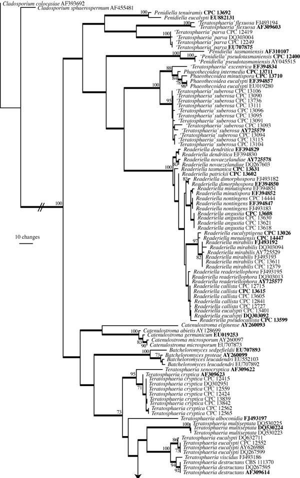 https://cdn.ncbi.nlm.nih.gov/pmc/blobs/ec3b/2802729/d75923245ef8/per-23-119-g002a.jpg