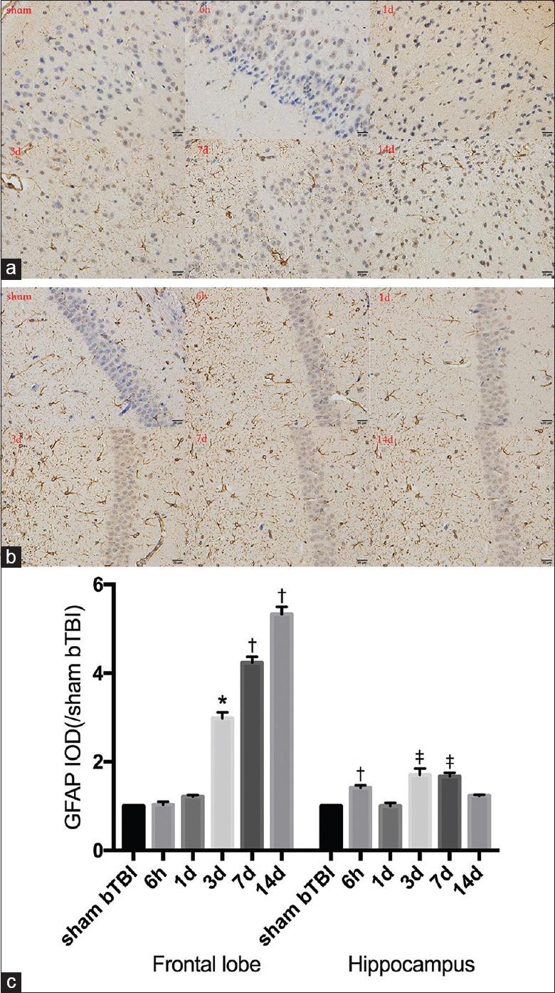 https://cdn.ncbi.nlm.nih.gov/pmc/blobs/ec3b/6202591/5507fac654b0/CMJ-131-2447-g011.jpg