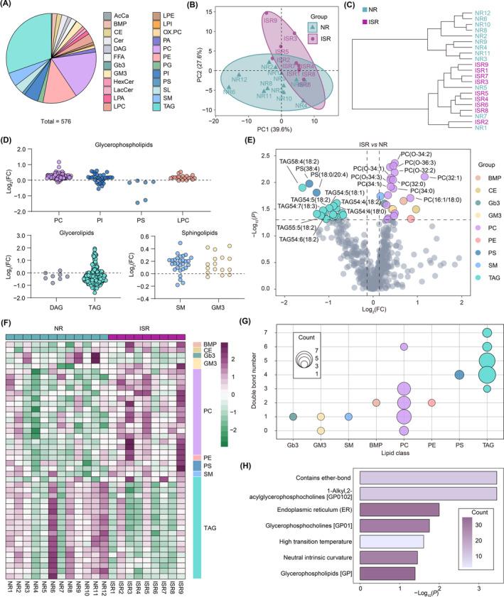 https://cdn.ncbi.nlm.nih.gov/pmc/blobs/ec3c/11249805/6a0feaedcd04/CNS-30-e14832-g006.jpg