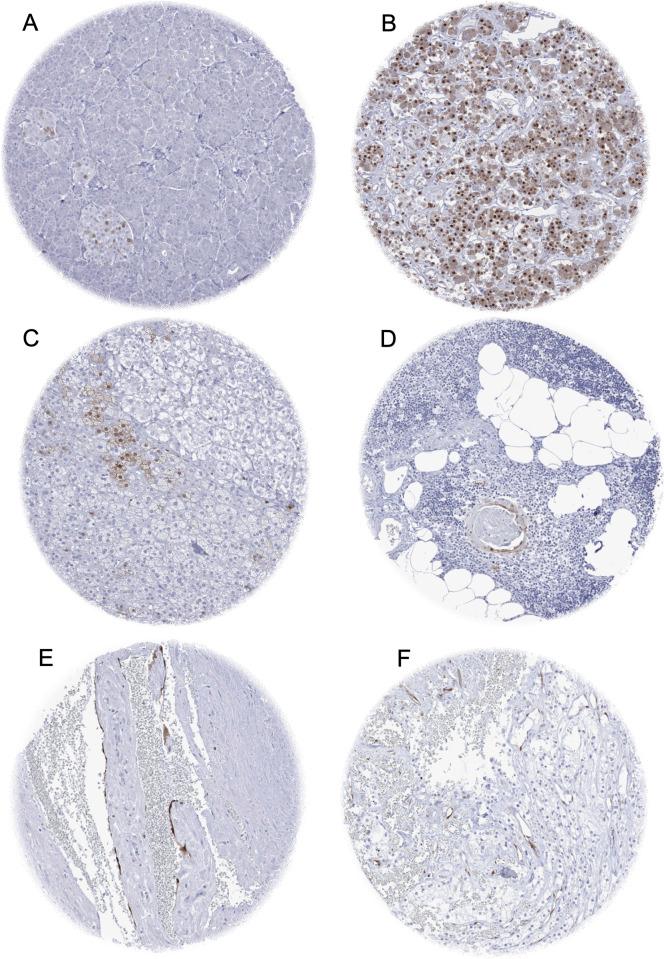 https://cdn.ncbi.nlm.nih.gov/pmc/blobs/ec3e/9302831/22c158abcced/pone.0262877.g001.jpg