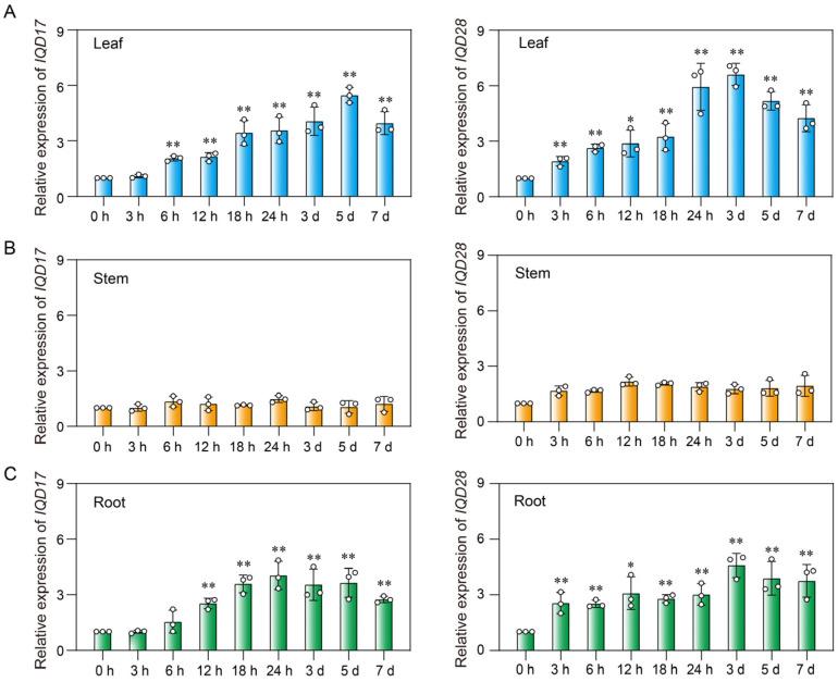 https://cdn.ncbi.nlm.nih.gov/pmc/blobs/ec3f/11397337/b0b00ad7447f/plants-13-02532-g006.jpg