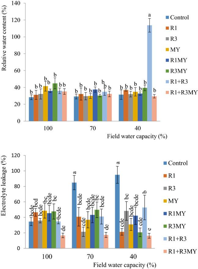 https://cdn.ncbi.nlm.nih.gov/pmc/blobs/ec3f/7997835/f804c365b4e7/284_2021_2432_Fig1_HTML.jpg
