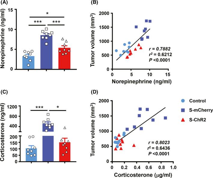 https://cdn.ncbi.nlm.nih.gov/pmc/blobs/ec41/7816210/06f76d8a9e24/CNS-27-206-g006.jpg