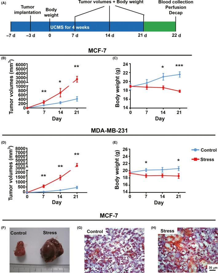 https://cdn.ncbi.nlm.nih.gov/pmc/blobs/ec41/7816210/117ef1d74c61/CNS-27-206-g003.jpg