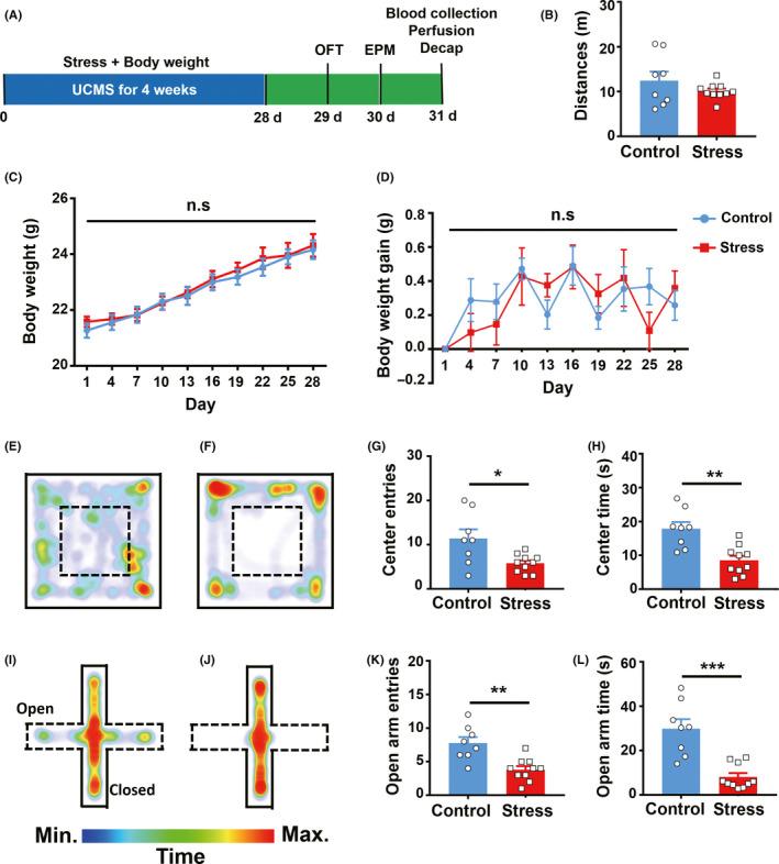 https://cdn.ncbi.nlm.nih.gov/pmc/blobs/ec41/7816210/4b920ce59da0/CNS-27-206-g001.jpg