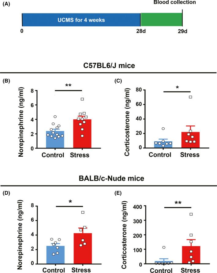 https://cdn.ncbi.nlm.nih.gov/pmc/blobs/ec41/7816210/82fdd1439008/CNS-27-206-g002.jpg