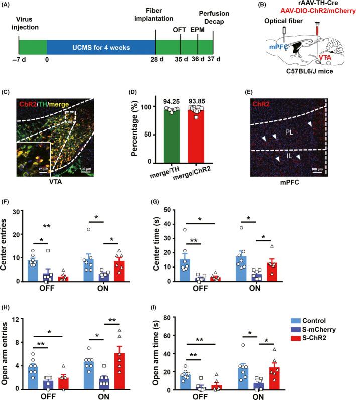 https://cdn.ncbi.nlm.nih.gov/pmc/blobs/ec41/7816210/a3759ffb19b4/CNS-27-206-g004.jpg