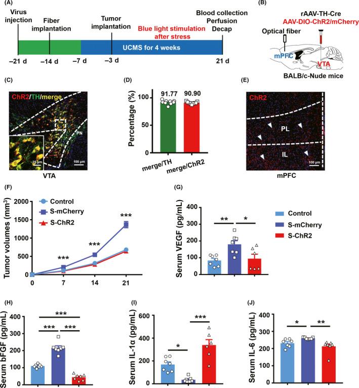 https://cdn.ncbi.nlm.nih.gov/pmc/blobs/ec41/7816210/a661ecbe005a/CNS-27-206-g005.jpg