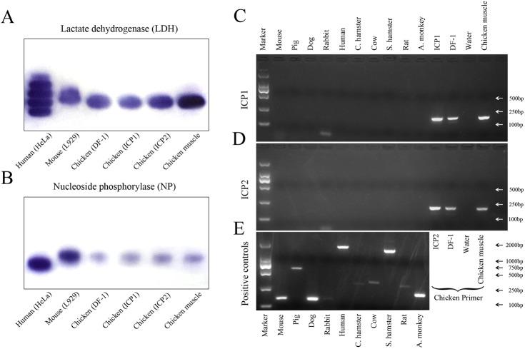 https://cdn.ncbi.nlm.nih.gov/pmc/blobs/ec43/5423695/0a8d3b5d0ee1/pone.0177348.g007.jpg