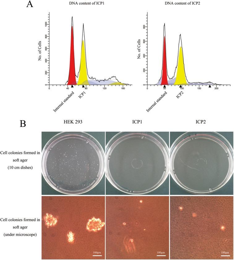 https://cdn.ncbi.nlm.nih.gov/pmc/blobs/ec43/5423695/1130d9573eb2/pone.0177348.g004.jpg