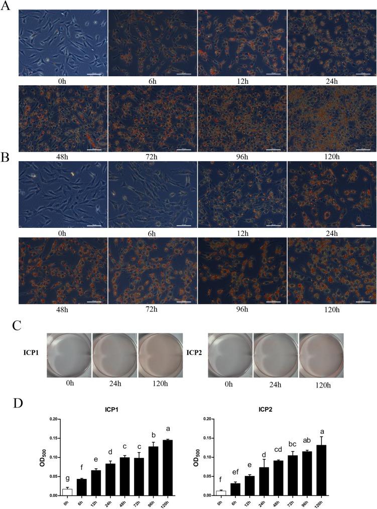 https://cdn.ncbi.nlm.nih.gov/pmc/blobs/ec43/5423695/14739f587421/pone.0177348.g005.jpg