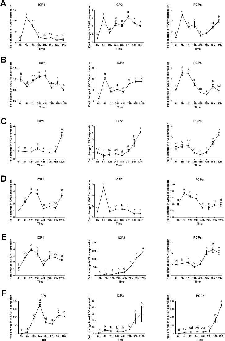 https://cdn.ncbi.nlm.nih.gov/pmc/blobs/ec43/5423695/220d43d3bca2/pone.0177348.g006.jpg