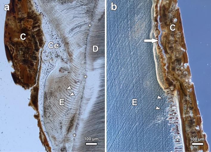 https://cdn.ncbi.nlm.nih.gov/pmc/blobs/ec44/4760926/f8969bf38aaf/pone.0147427.g010.jpg