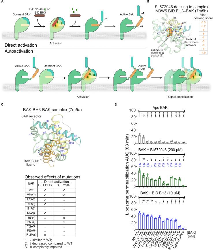 https://cdn.ncbi.nlm.nih.gov/pmc/blobs/ec44/9485059/54bc76a77297/gr3.jpg