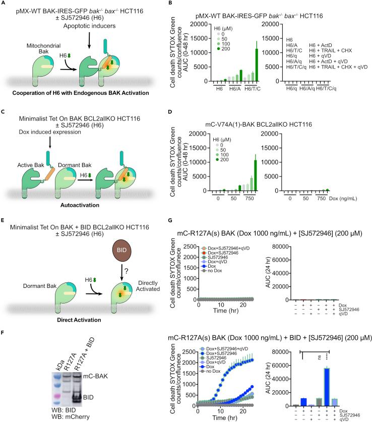 https://cdn.ncbi.nlm.nih.gov/pmc/blobs/ec44/9485059/6a587305f7fd/gr6.jpg