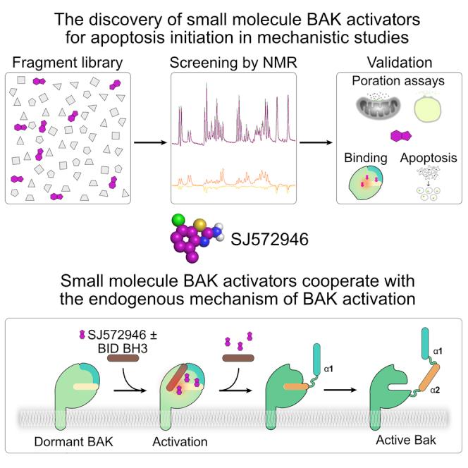 https://cdn.ncbi.nlm.nih.gov/pmc/blobs/ec44/9485059/8e47ad97ef8a/fx1.jpg