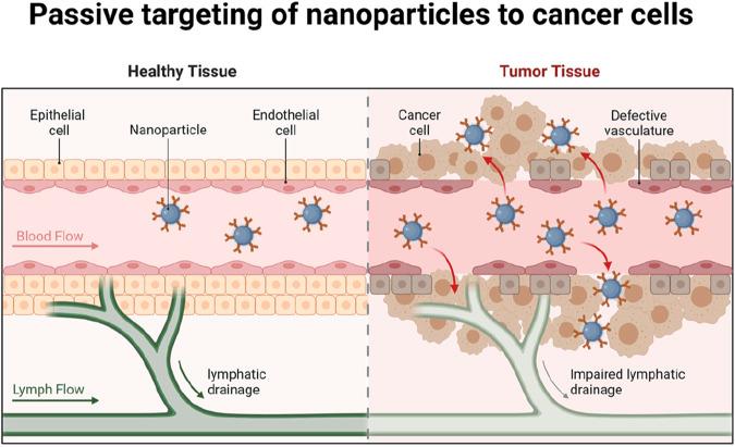 https://cdn.ncbi.nlm.nih.gov/pmc/blobs/ec46/11788409/800509e164bd/fbioe-12-1514890-g002.jpg