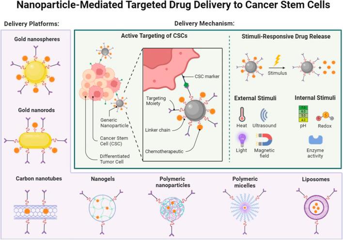 https://cdn.ncbi.nlm.nih.gov/pmc/blobs/ec46/11788409/90251802317f/fbioe-12-1514890-g004.jpg