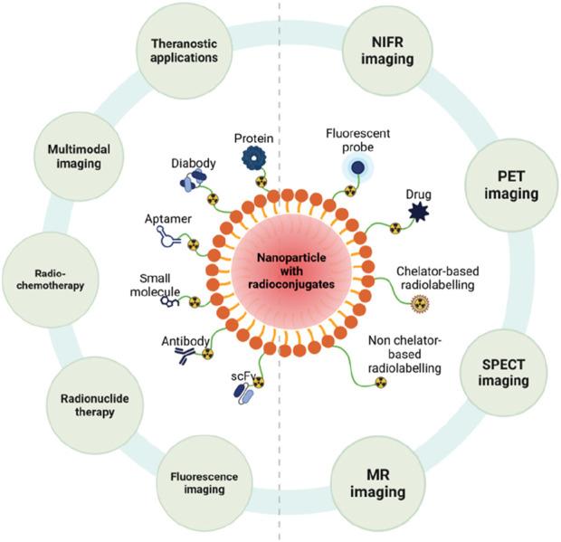 https://cdn.ncbi.nlm.nih.gov/pmc/blobs/ec46/11788409/d2e338cee566/fbioe-12-1514890-g005.jpg