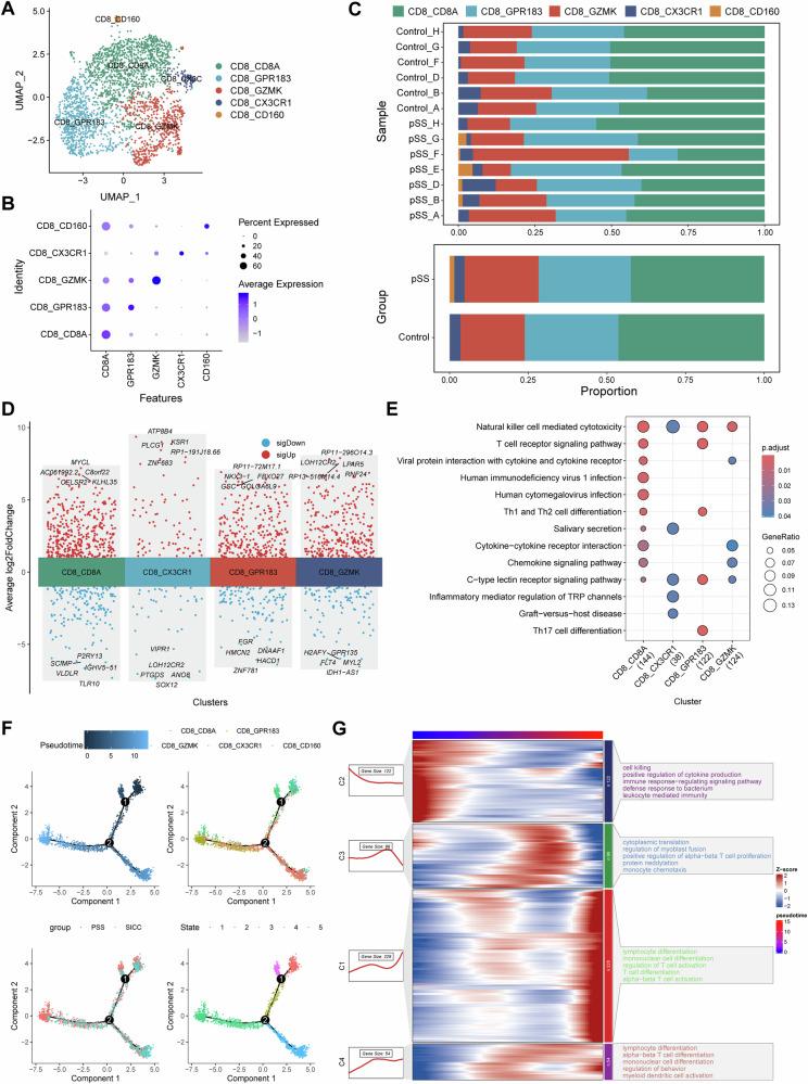 https://cdn.ncbi.nlm.nih.gov/pmc/blobs/ec46/12084299/01474be567e2/41419_2025_7717_Fig7_HTML.jpg