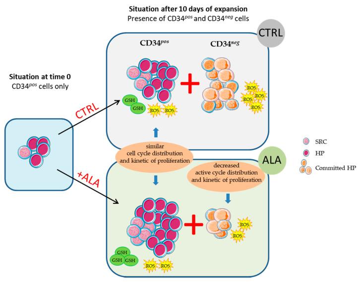 https://cdn.ncbi.nlm.nih.gov/pmc/blobs/ec46/8946095/b81124cade51/biomolecules-12-00431-g008.jpg