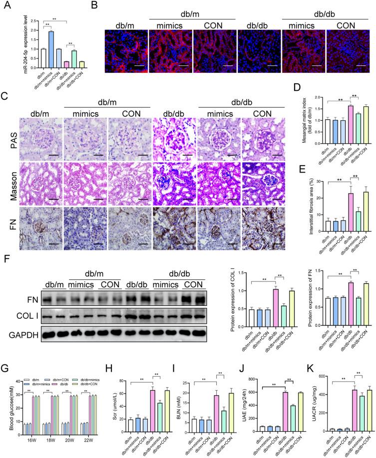 https://cdn.ncbi.nlm.nih.gov/pmc/blobs/ec48/10775805/78e0a0a923cf/DMSO-17-75-g0002.jpg