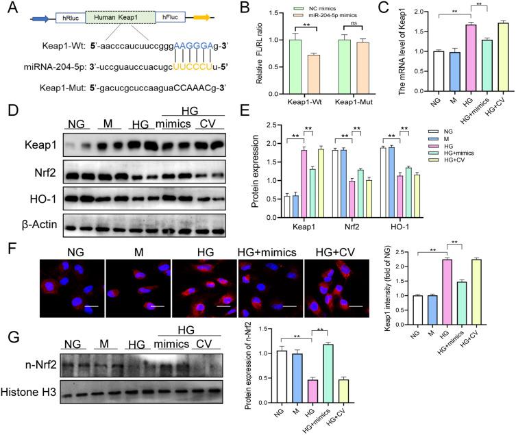 https://cdn.ncbi.nlm.nih.gov/pmc/blobs/ec48/10775805/7e21dfc63e66/DMSO-17-75-g0009.jpg