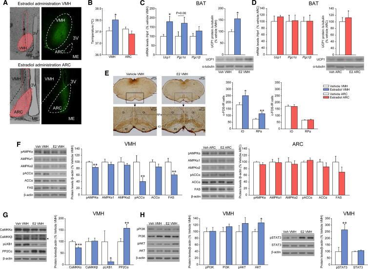 https://cdn.ncbi.nlm.nih.gov/pmc/blobs/ec48/4082097/4d8619eead9f/gr5.jpg